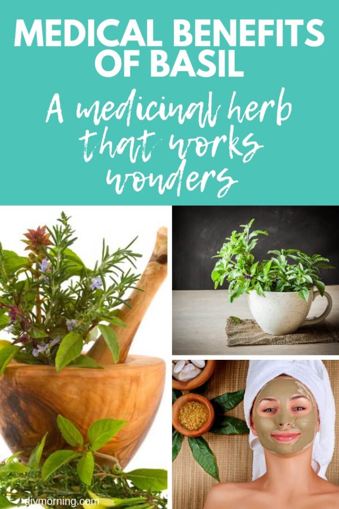 4 Best Medical Benefits of Basil A Medicinal Herb that Works Wonders