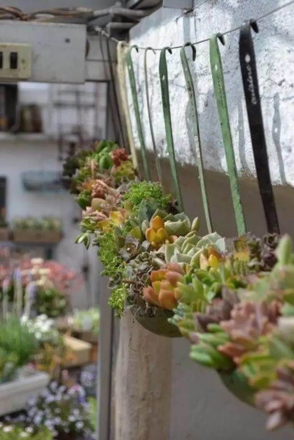 51+ Stunning Shabby Chic Vintage Garden Decor (Designs & Ideas)