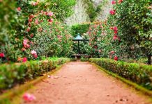 6 DIY Tips For Redesigning Your Garden