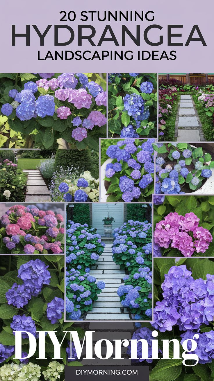 20 Stunning Hydrangea Landscaping Ideas to Transform Your Garden - DIY ...